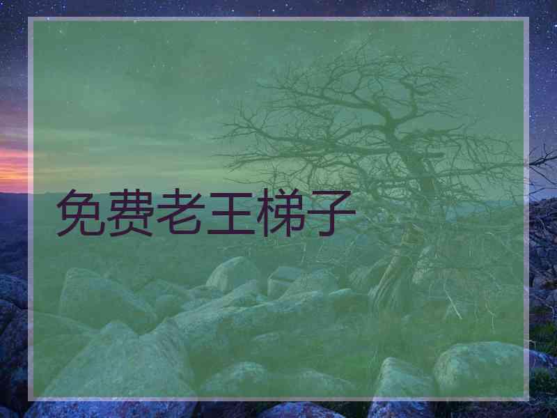 免费老王梯子