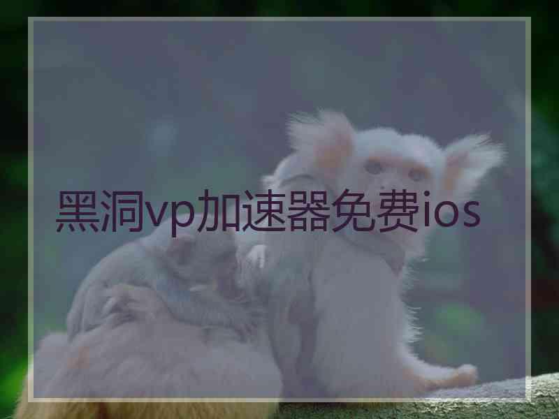 黑洞vp加速器免费ios