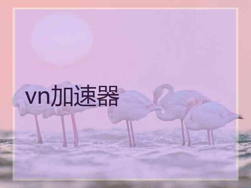 vn加速器