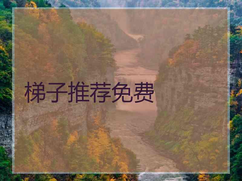 梯子推荐免费