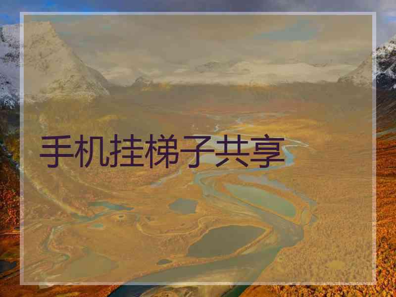 手机挂梯子共享