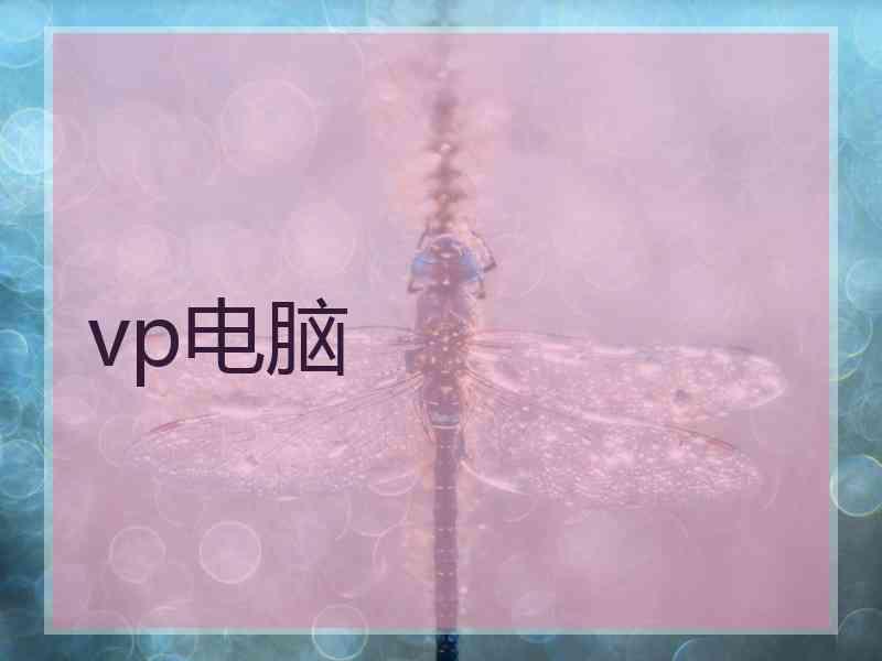 vp电脑