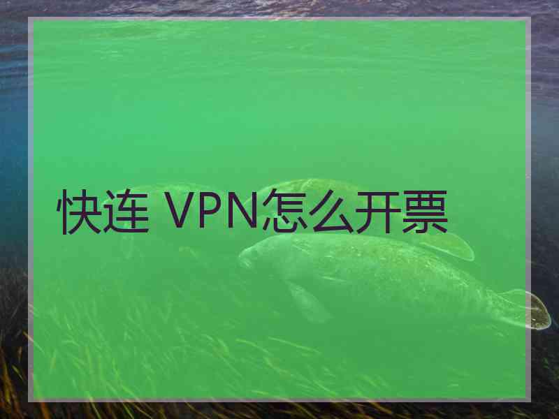 快连 VPN怎么开票