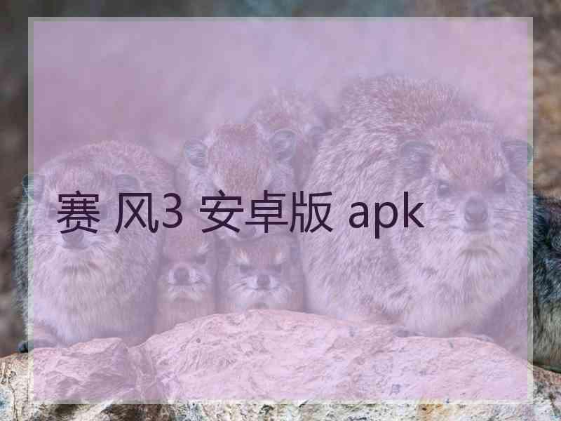 赛 风3 安卓版 apk
