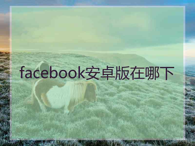 facebook安卓版在哪下