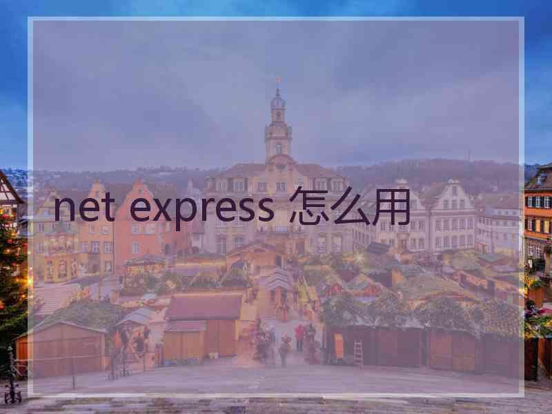 net express 怎么用
