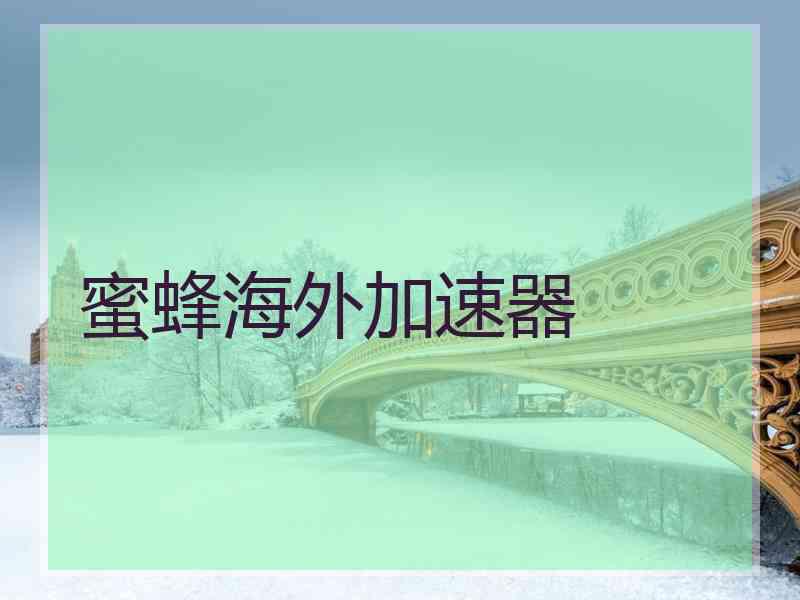 蜜蜂海外加速器