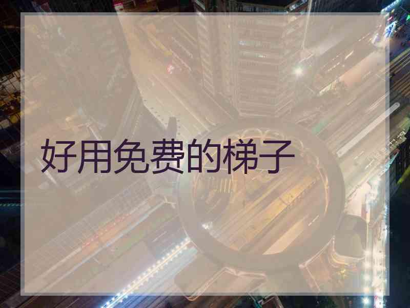好用免费的梯子