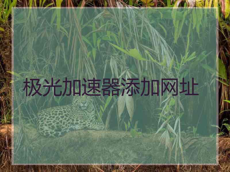 极光加速器添加网址
