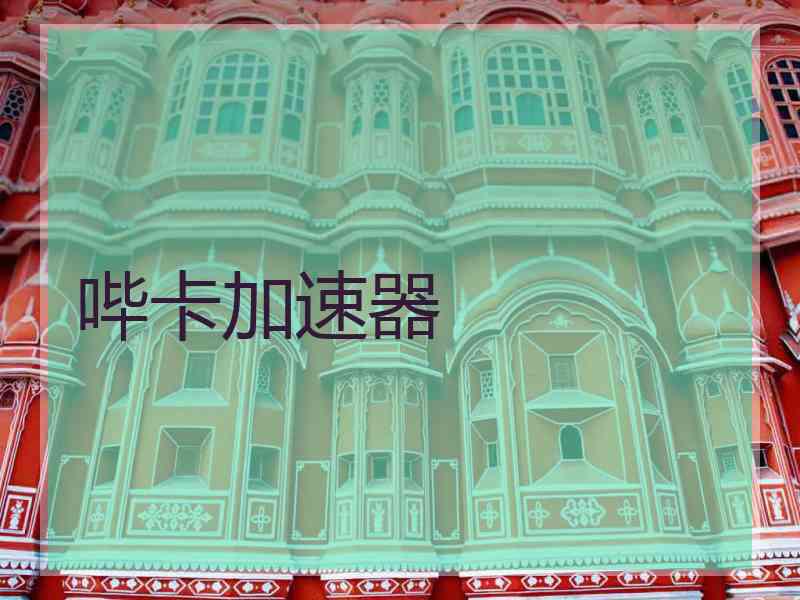 哔卡加速器