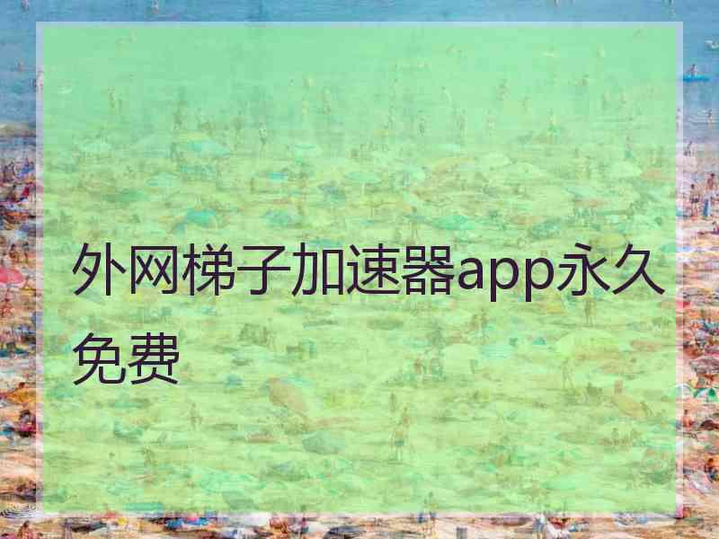外网梯子加速器app永久免费