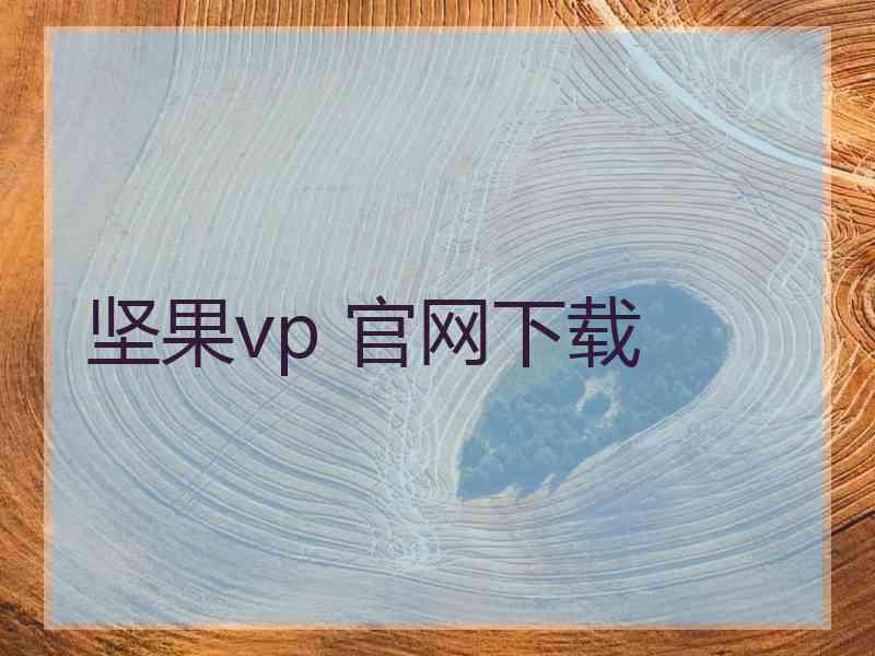 坚果vp 官网下载