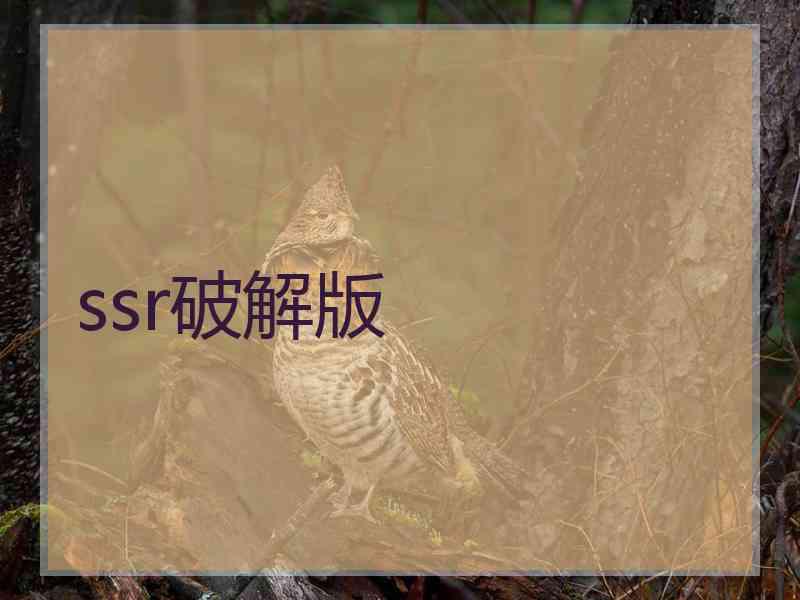 ssr破解版