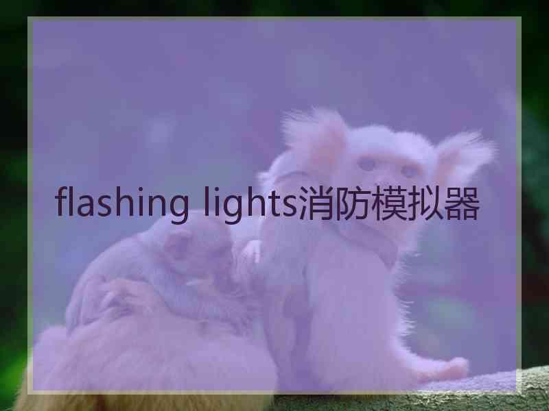 flashing lights消防模拟器