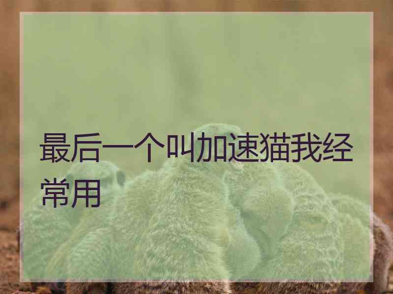最后一个叫加速猫我经常用
