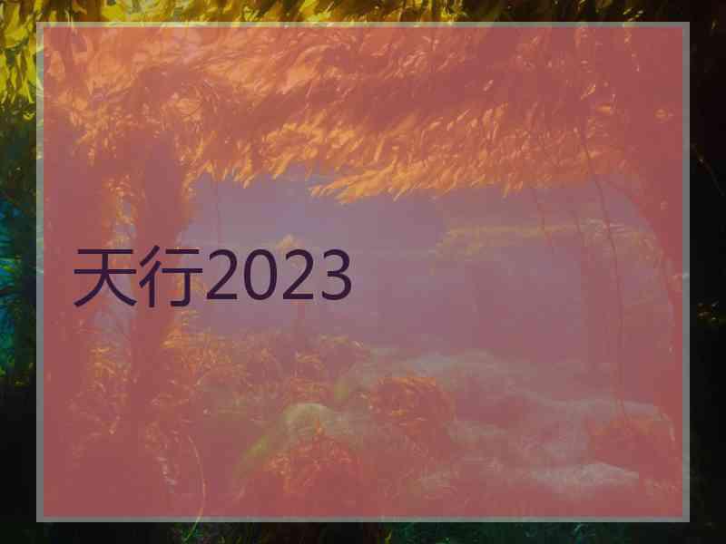 天行2023