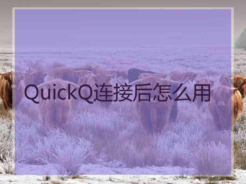 QuickQ连接后怎么用