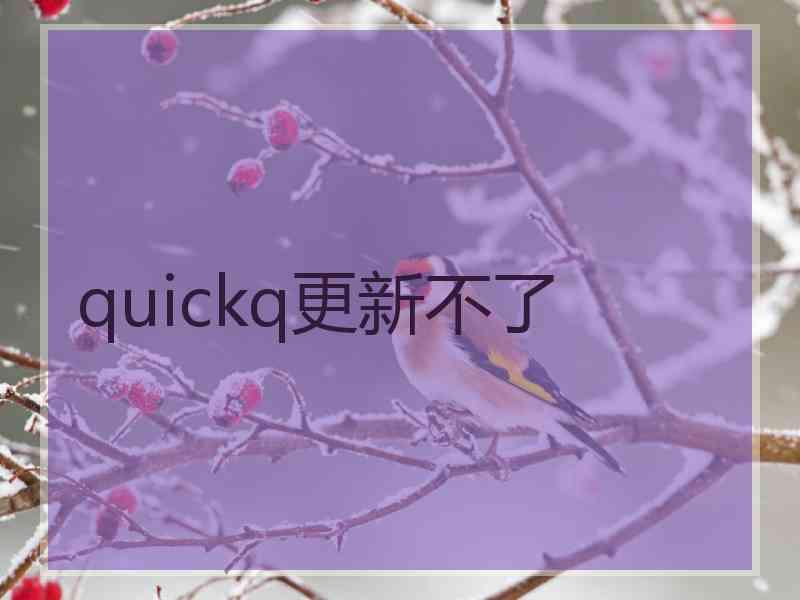 quickq更新不了