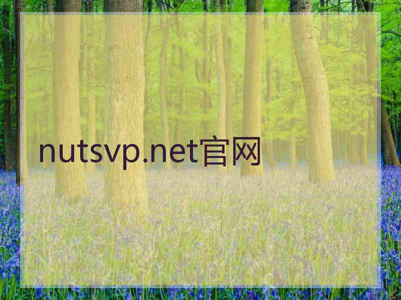 nutsvp.net官网