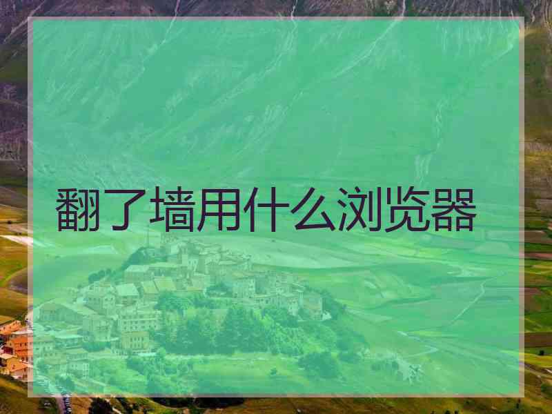 翻了墙用什么浏览器
