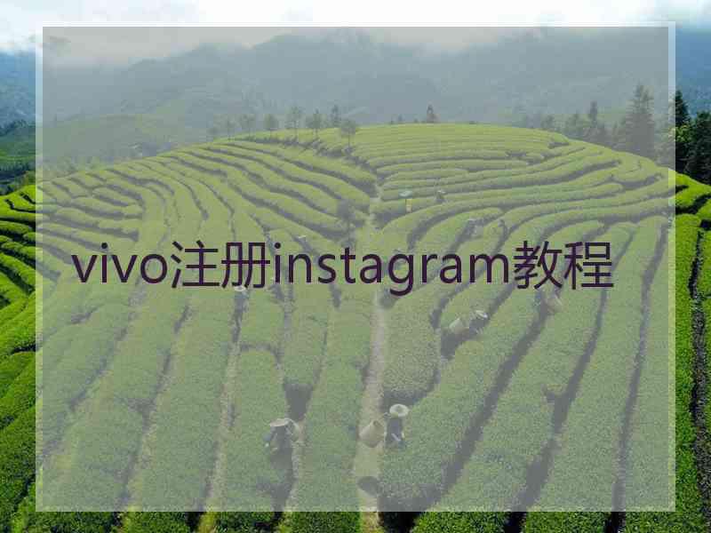 vivo注册instagram教程