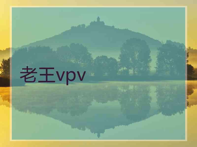 老王vpv