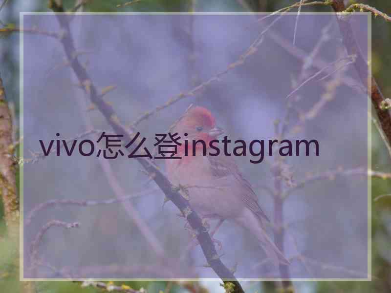 vivo怎么登instagram