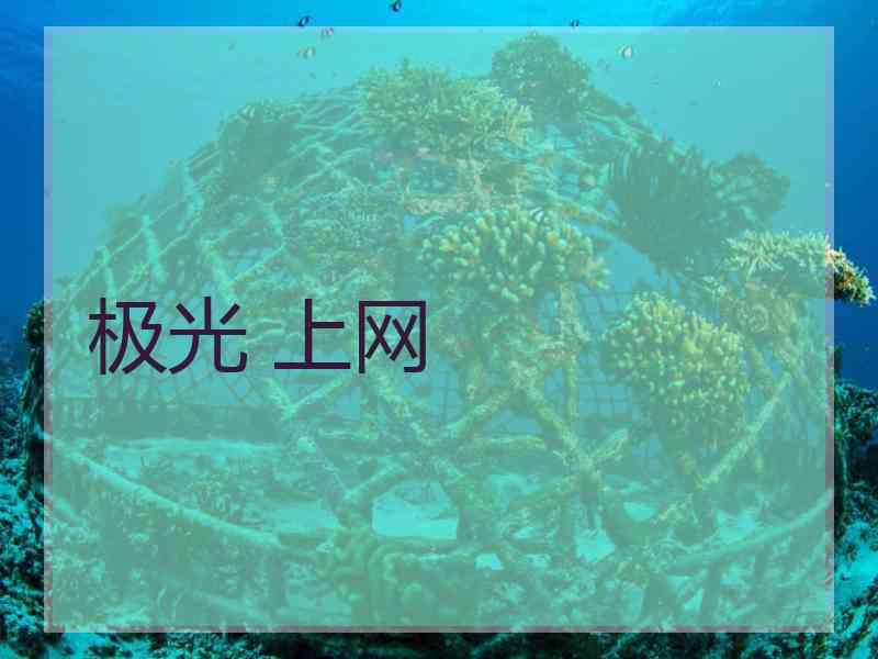 极光 上网