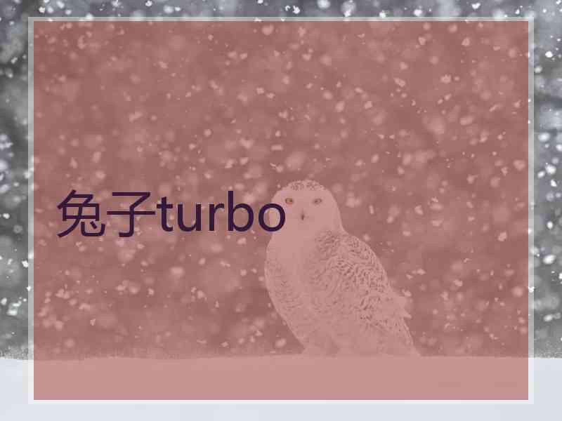 兔子turbo