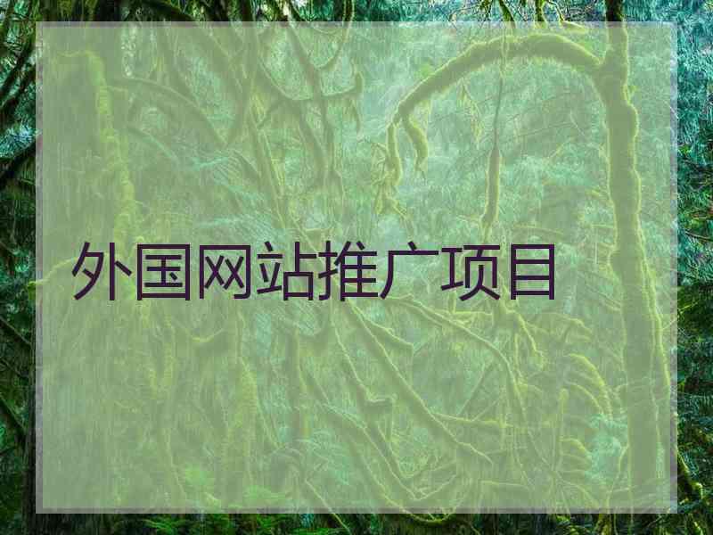外国网站推广项目