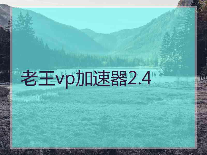 老王vp加速器2.4