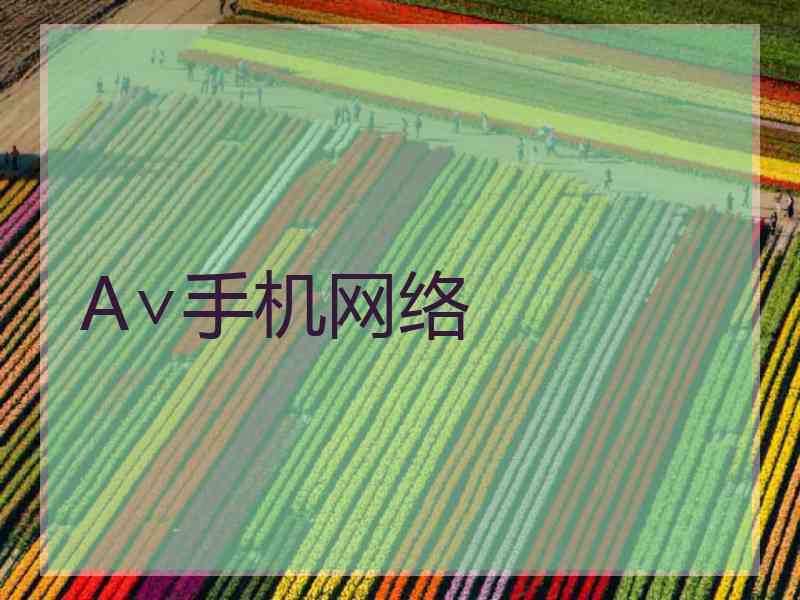 A∨手机网络