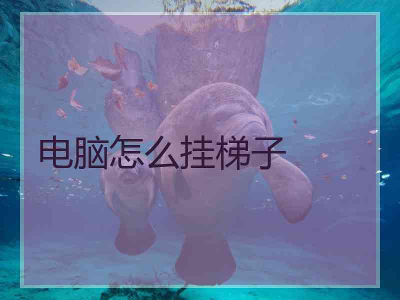 电脑怎么挂梯子