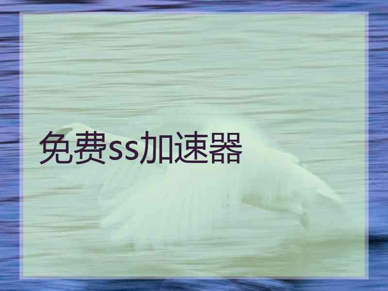 免费ss加速器