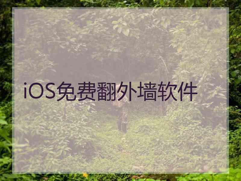 iOS免费翻外墙软件