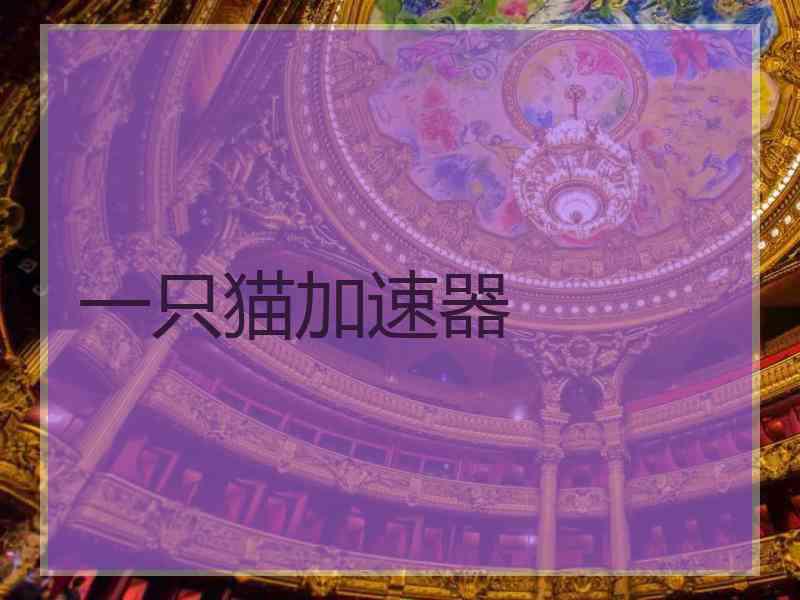 一只猫加速器