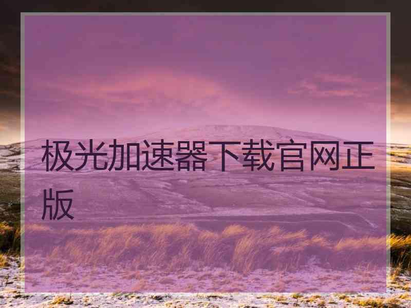 极光加速器下载官网正版
