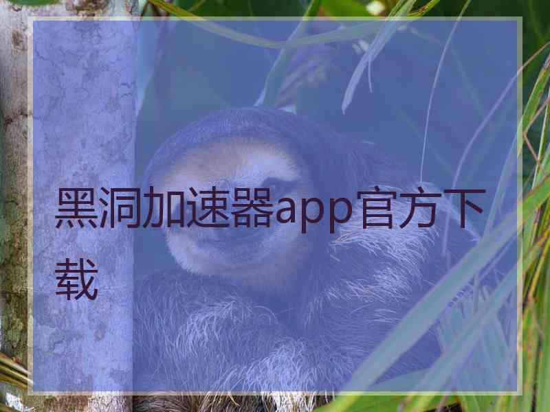 黑洞加速器app官方下载