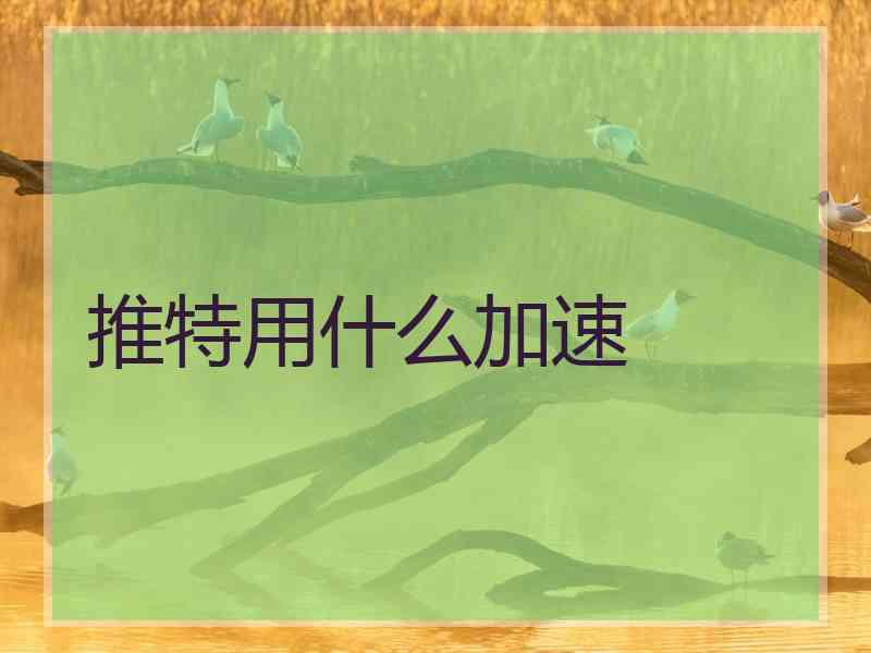 推特用什么加速