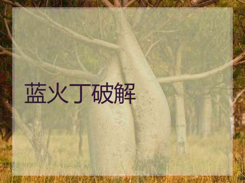 蓝火丁破解