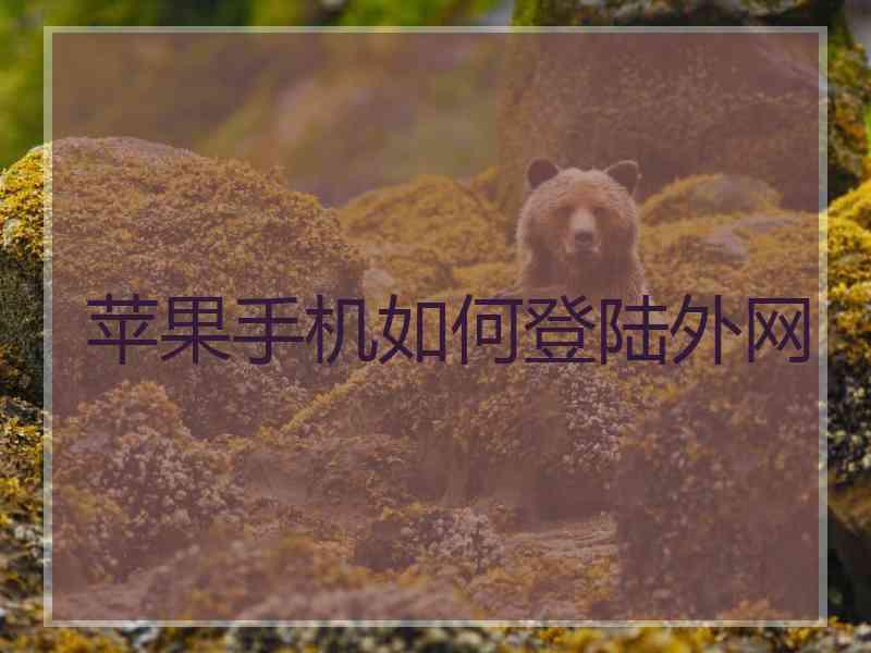 苹果手机如何登陆外网