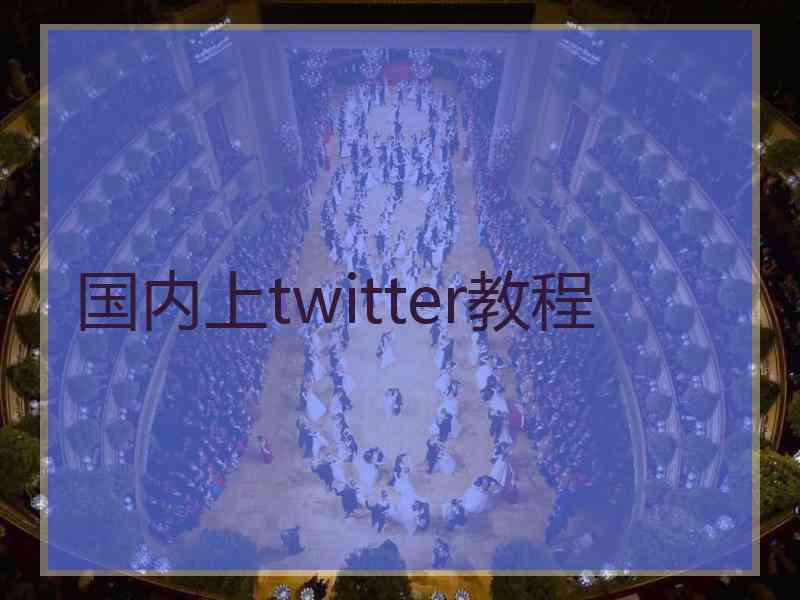 国内上twitter教程