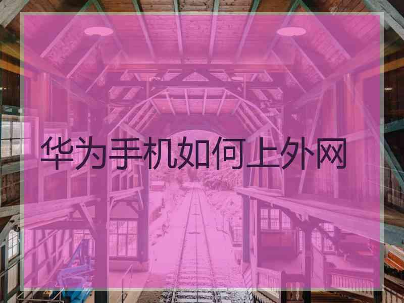 华为手机如何上外网