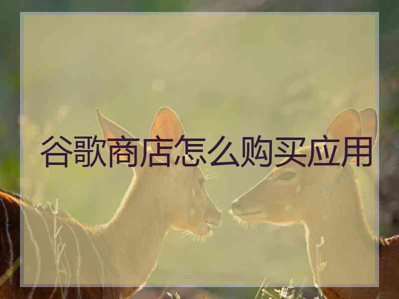 谷歌商店怎么购买应用