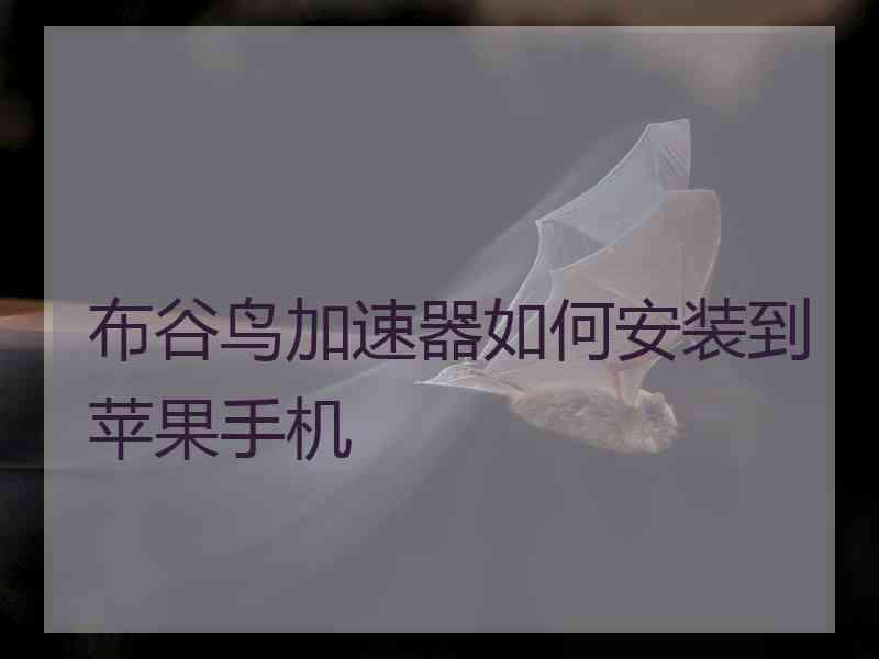 布谷鸟加速器如何安装到苹果手机