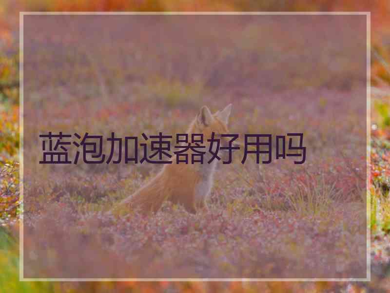 蓝泡加速器好用吗