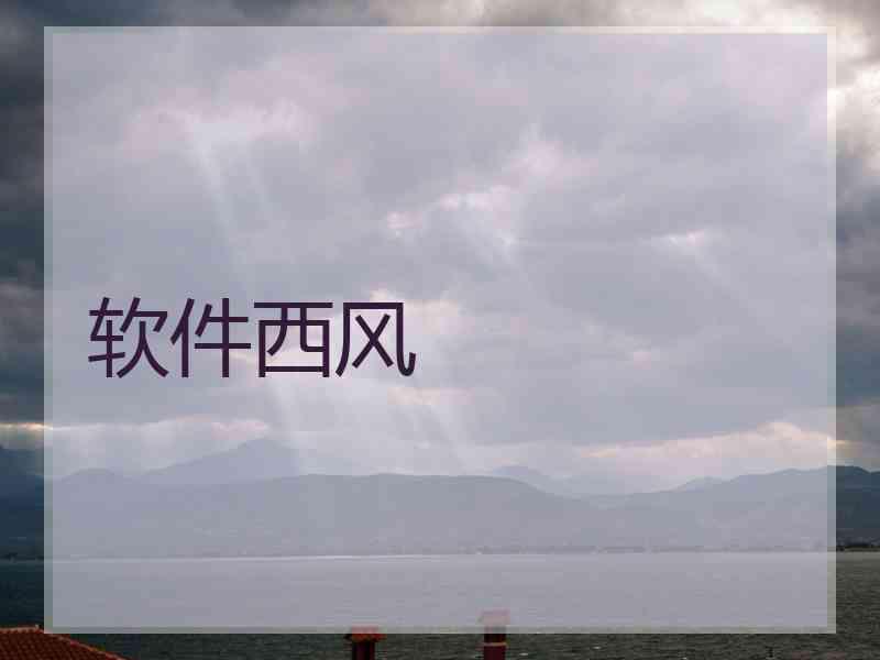 软件西风