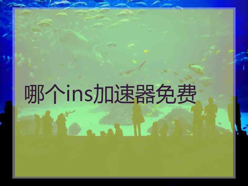 哪个ins加速器免费
