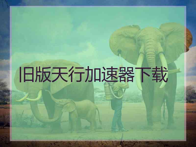 旧版天行加速器下载