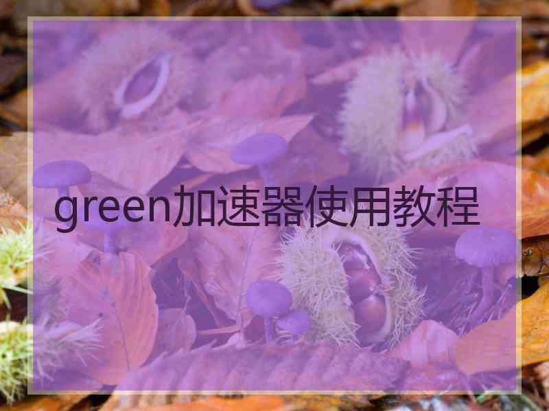 green加速器使用教程